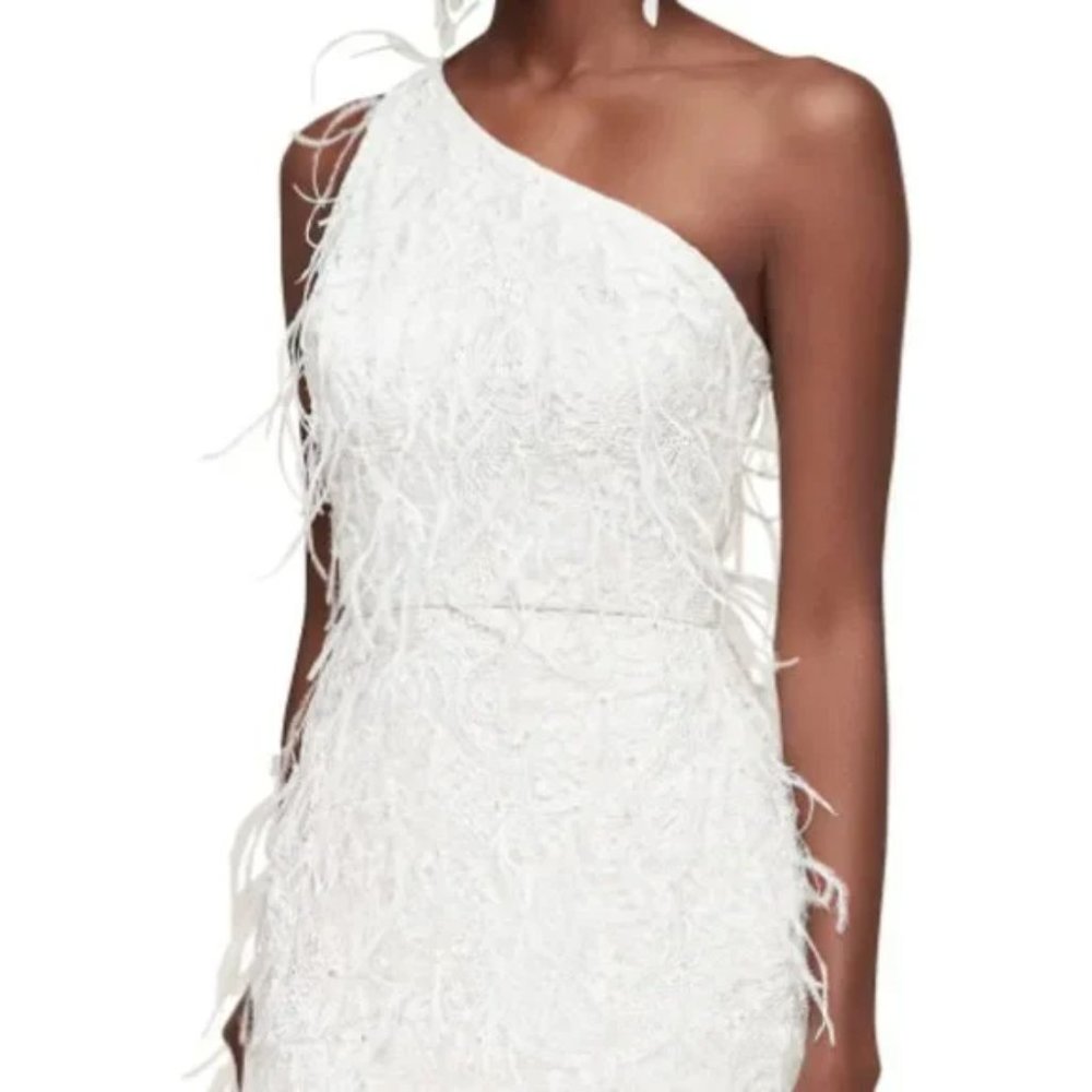white feather dress Twinkle in Time Feather Lace One-Shoulder Minidress